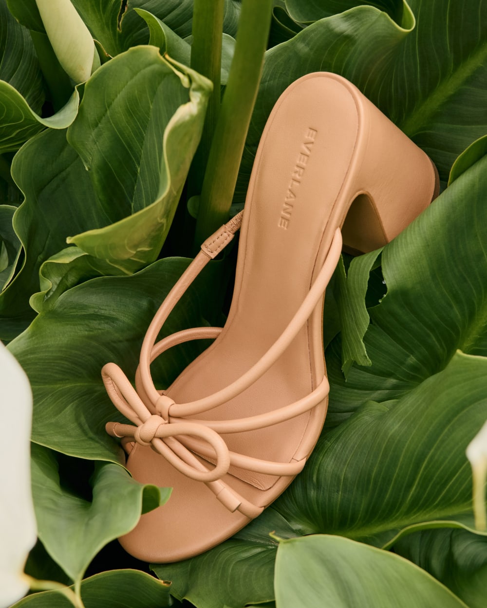 womens-leather-bow-heel-blush-tan | editorial