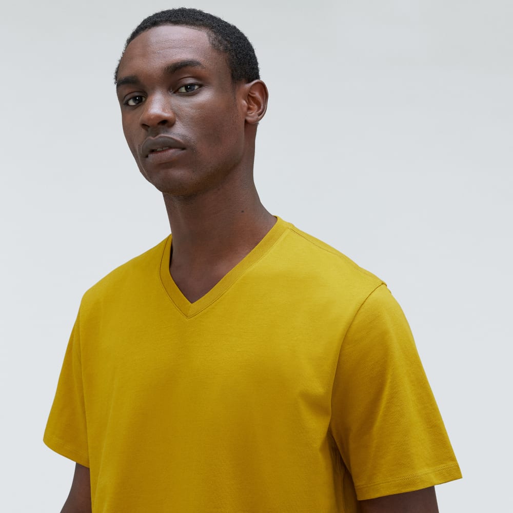 mens-organic-cotton-v-neck-tee-golden-palm