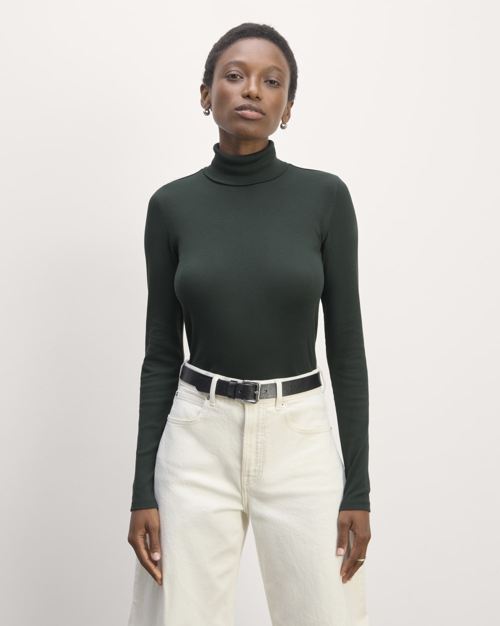The Luxe Rib Turtleneck | Scarab – Everlane
