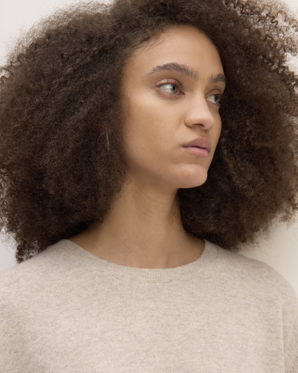 womens-cashmere-classic-crew-sweater-canvas