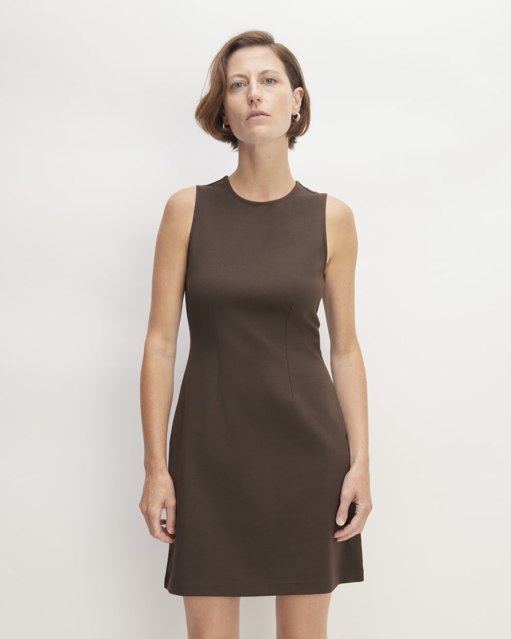 The Dream '90s Shift Dress | Earth Brown Everlane The Dream '90s Shift Dress | Earth Brown Everlane