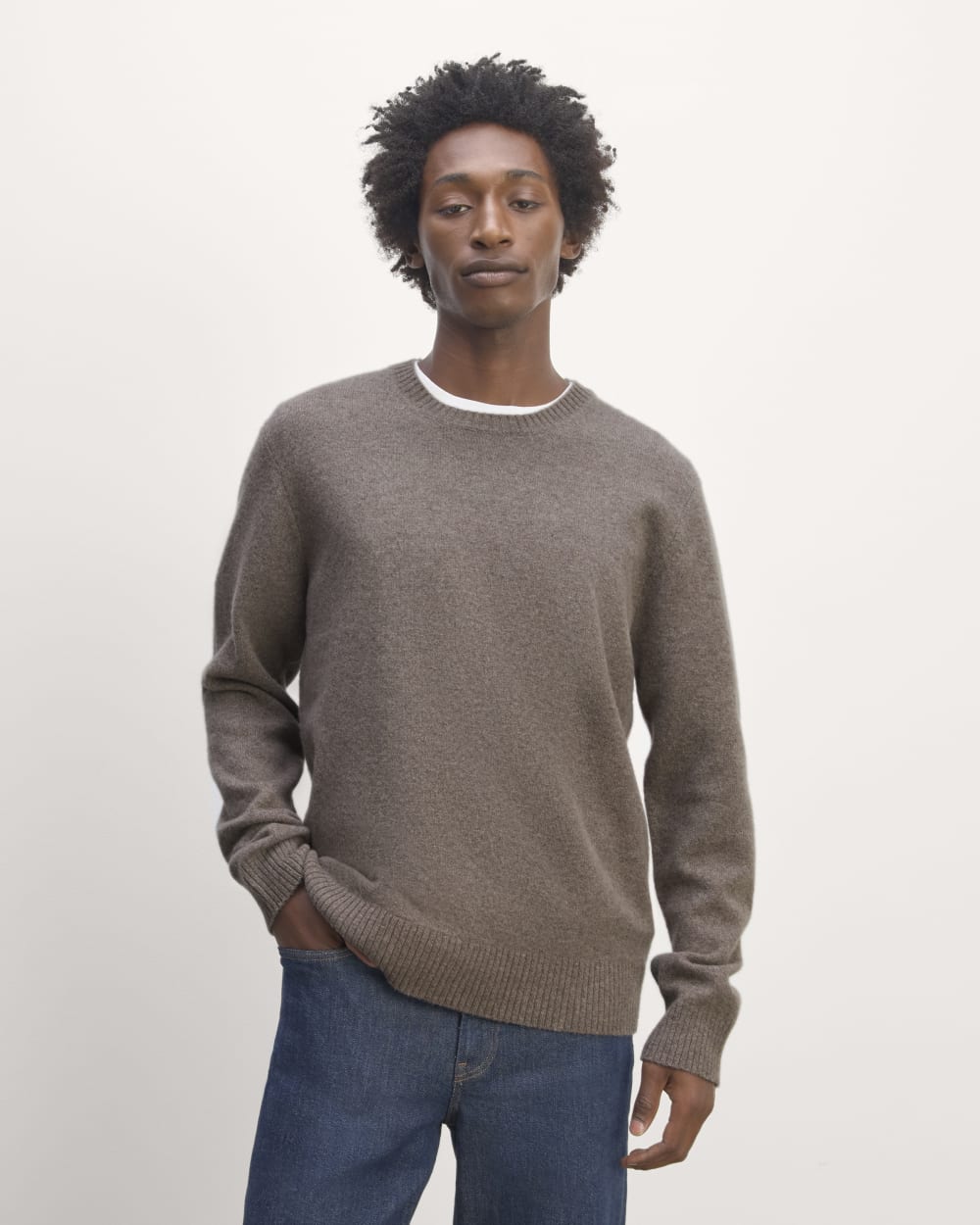 The Premium Merino Crew Neck Sweater | Taupe Melange – Everlane