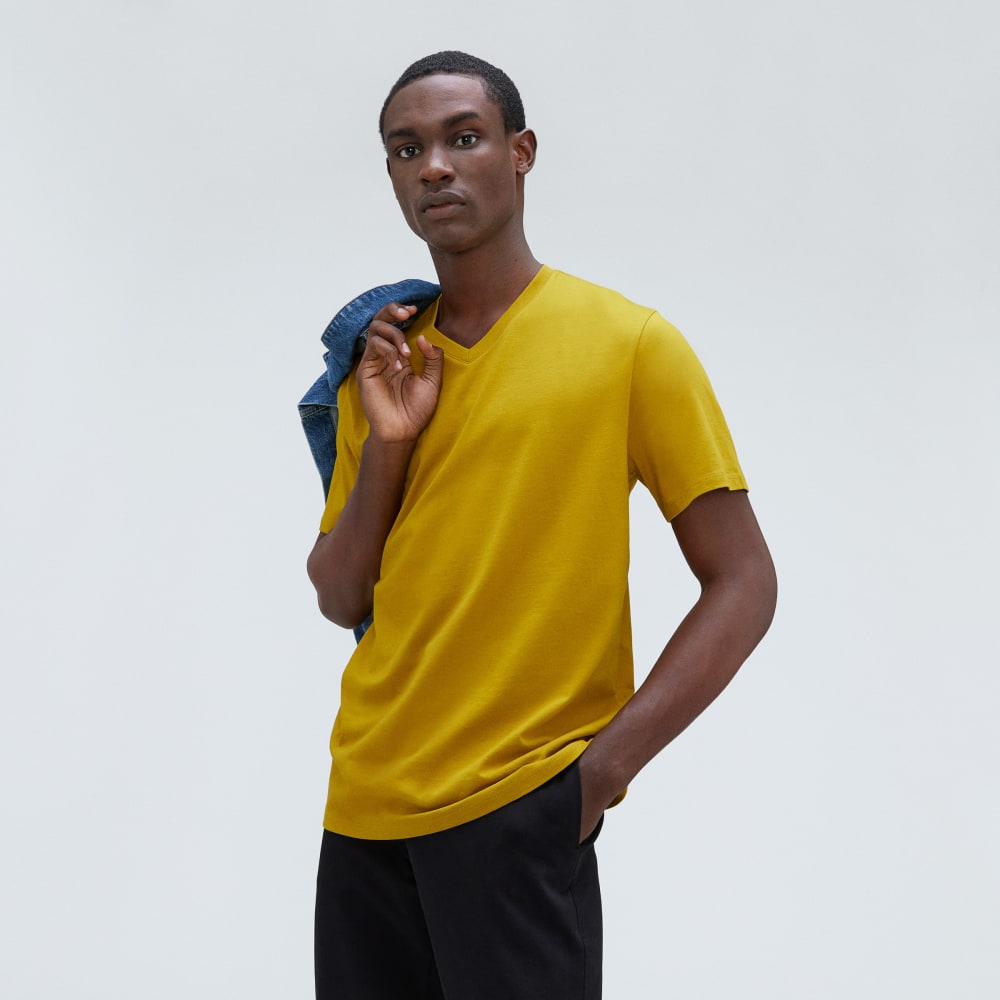 mens-organic-cotton-v-neck-tee-golden-palm