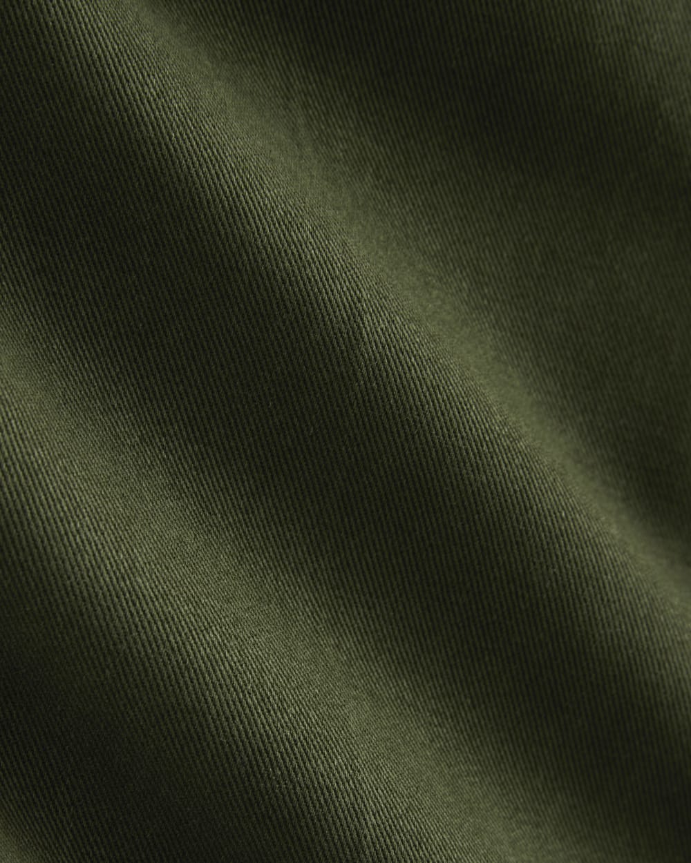 womens-tencel-twill-pleated-chino-dark-forest