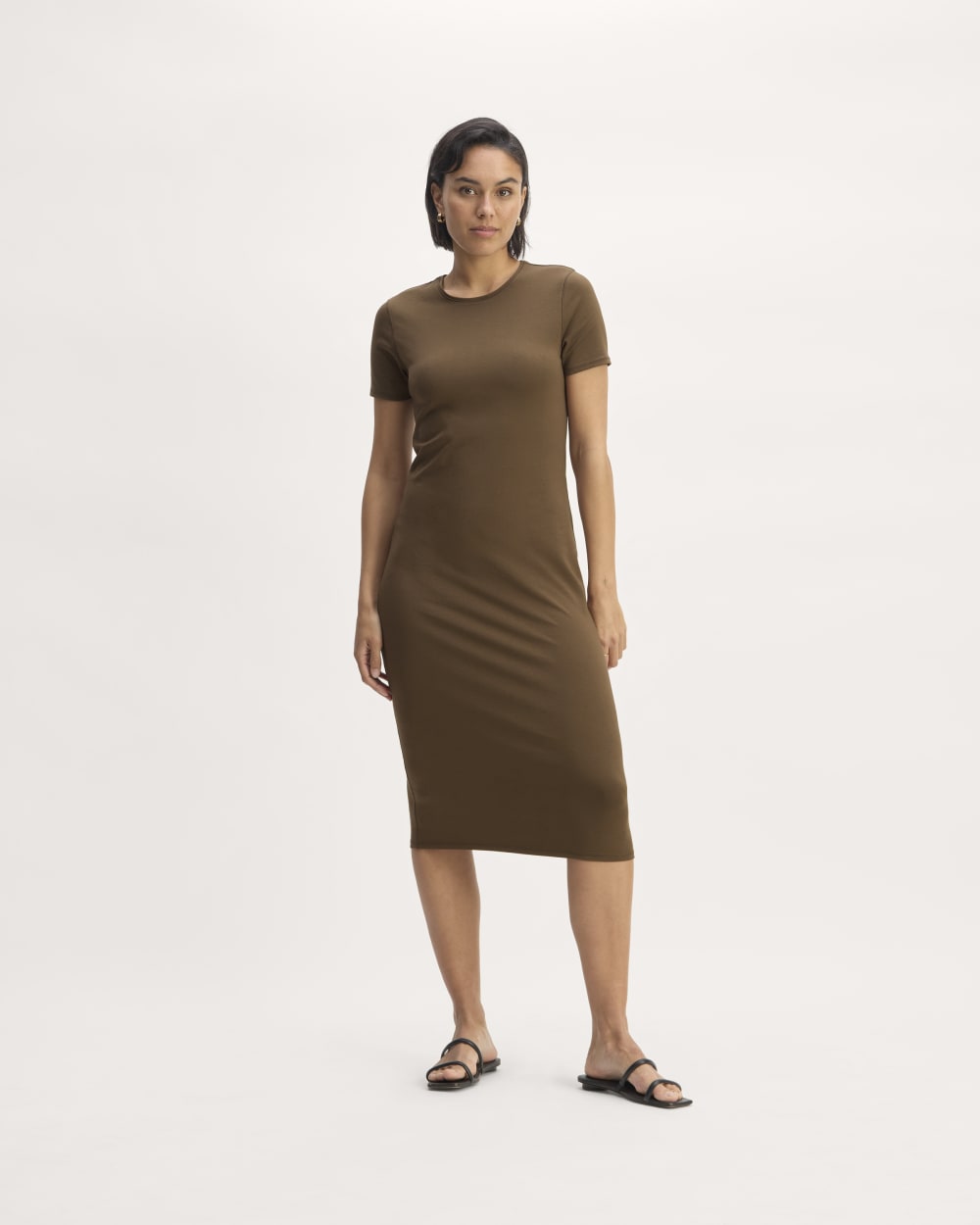 The Form Dress | Cocoa Everlane The Form Dress | Cocoa Everlane