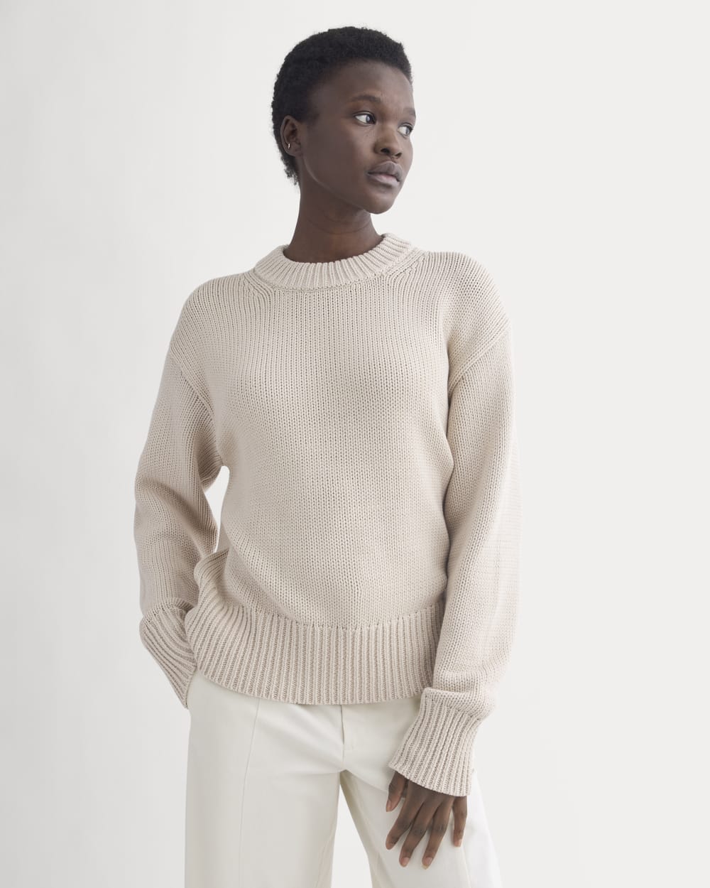Oversized Cocoon Crew in Elevated Cotton | Peyote – Everlane