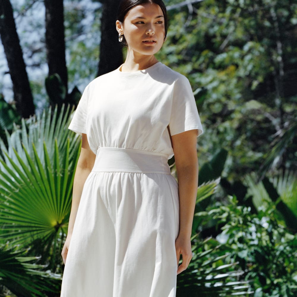 The Organic Cotton Waisted Dress | Canvas Everlane The Organic Cotton Waisted Dress | Canvas Everlane