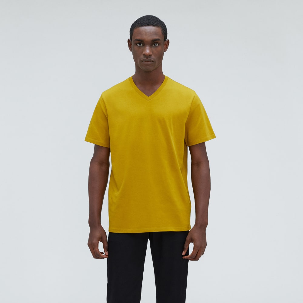 mens-organic-cotton-v-neck-tee-golden-palm