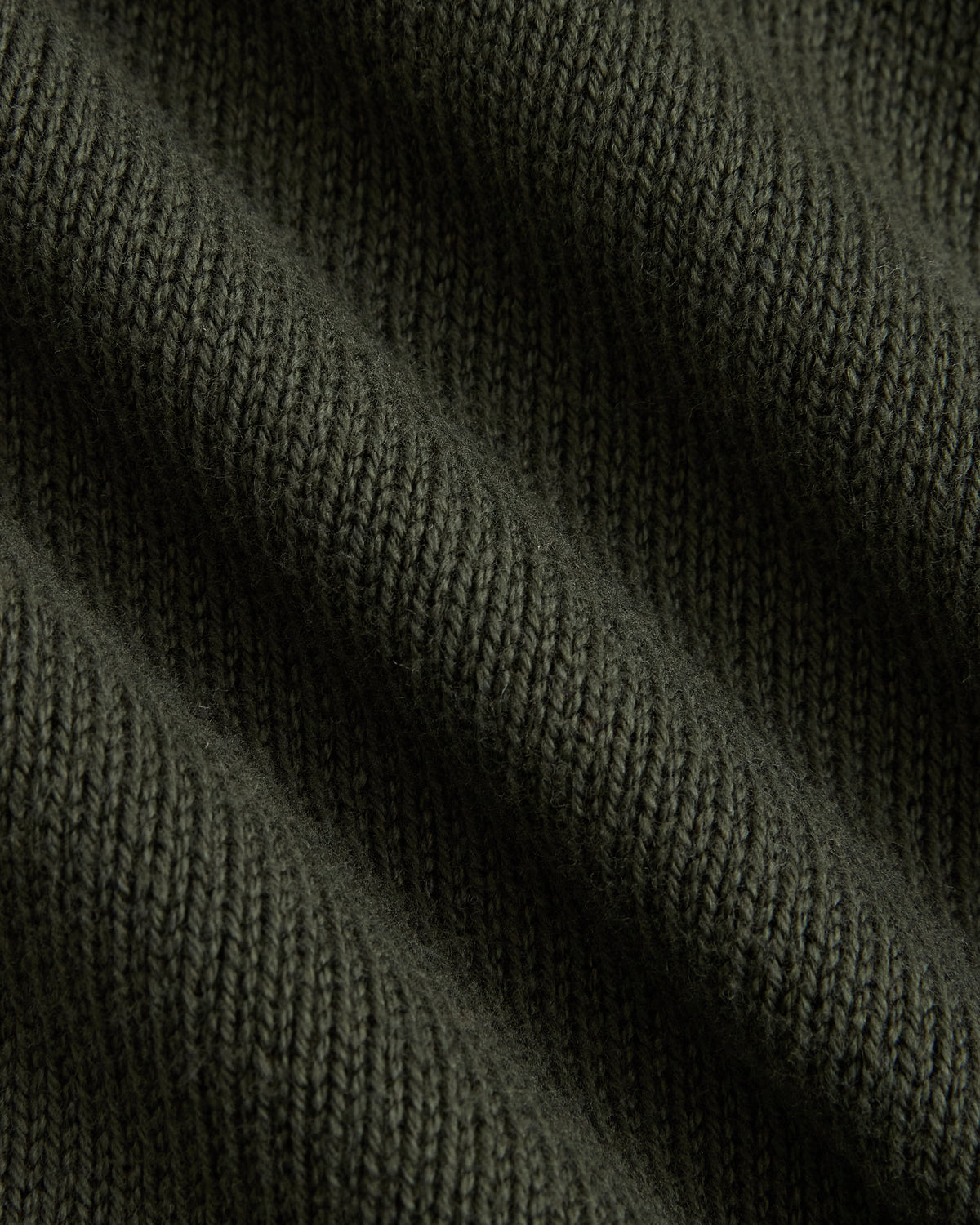 Shrunken Crew Sweater in Everyday Cotton | Dark Forest