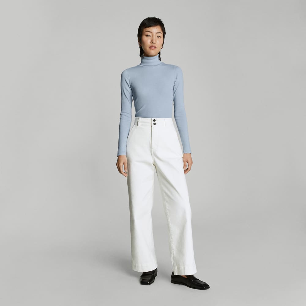 The Luxe Micro-Rib Turtleneck | Mist – Everlane