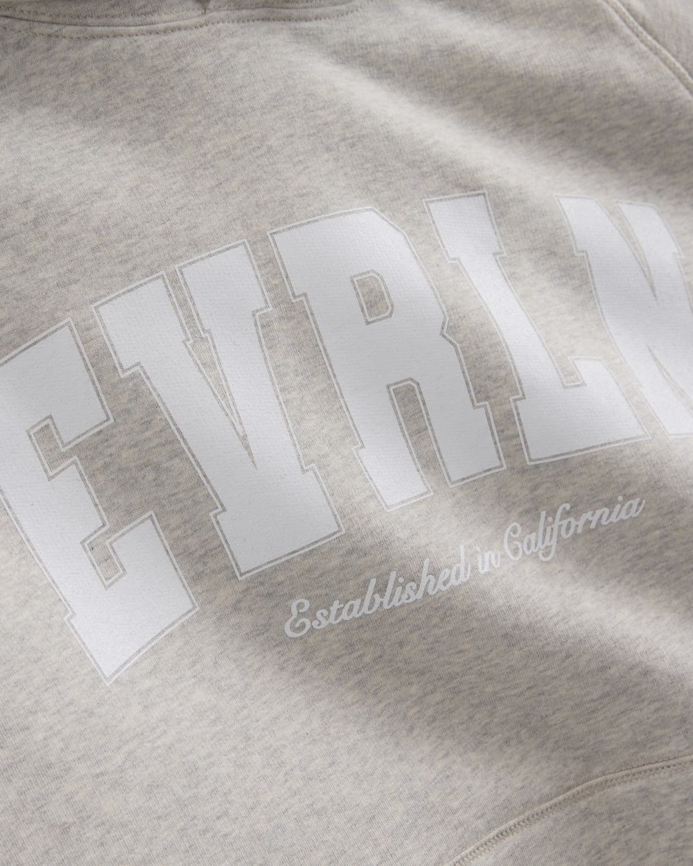 mens-varsity-logo-hoodie-heather-haze | alt
