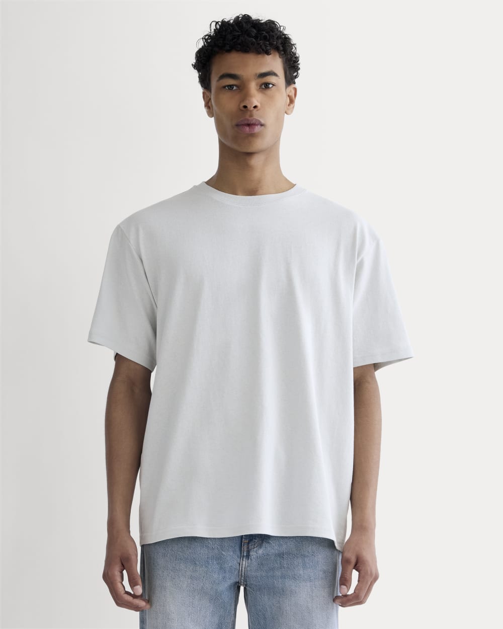 mens-prem-wt-rlxd-crew-glacier-gray | primary