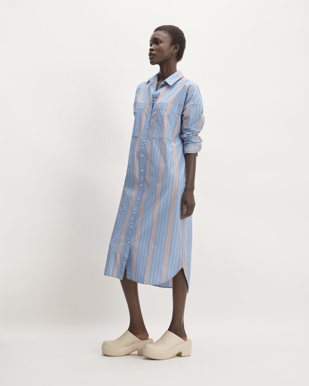 The Midi Cotton Shirt Dress | Parisian Blue / Black / Rusted Red / Bon Everlane The Midi Cotton Shirt Dress | Parisian Blue / Black / Rusted Red / Bon Everlane