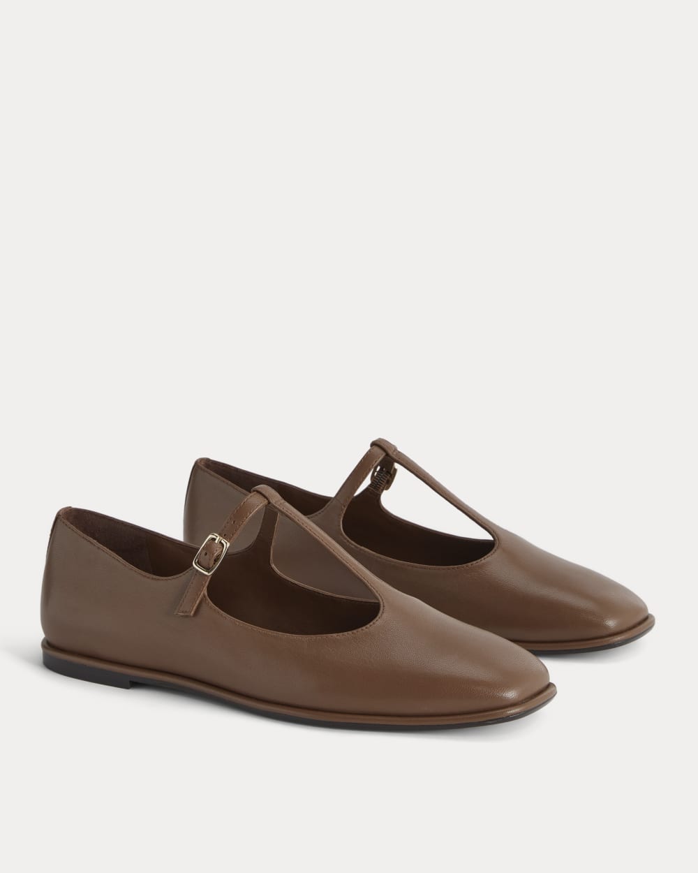 The Leather T-Strap Flat | Rum – Everlane