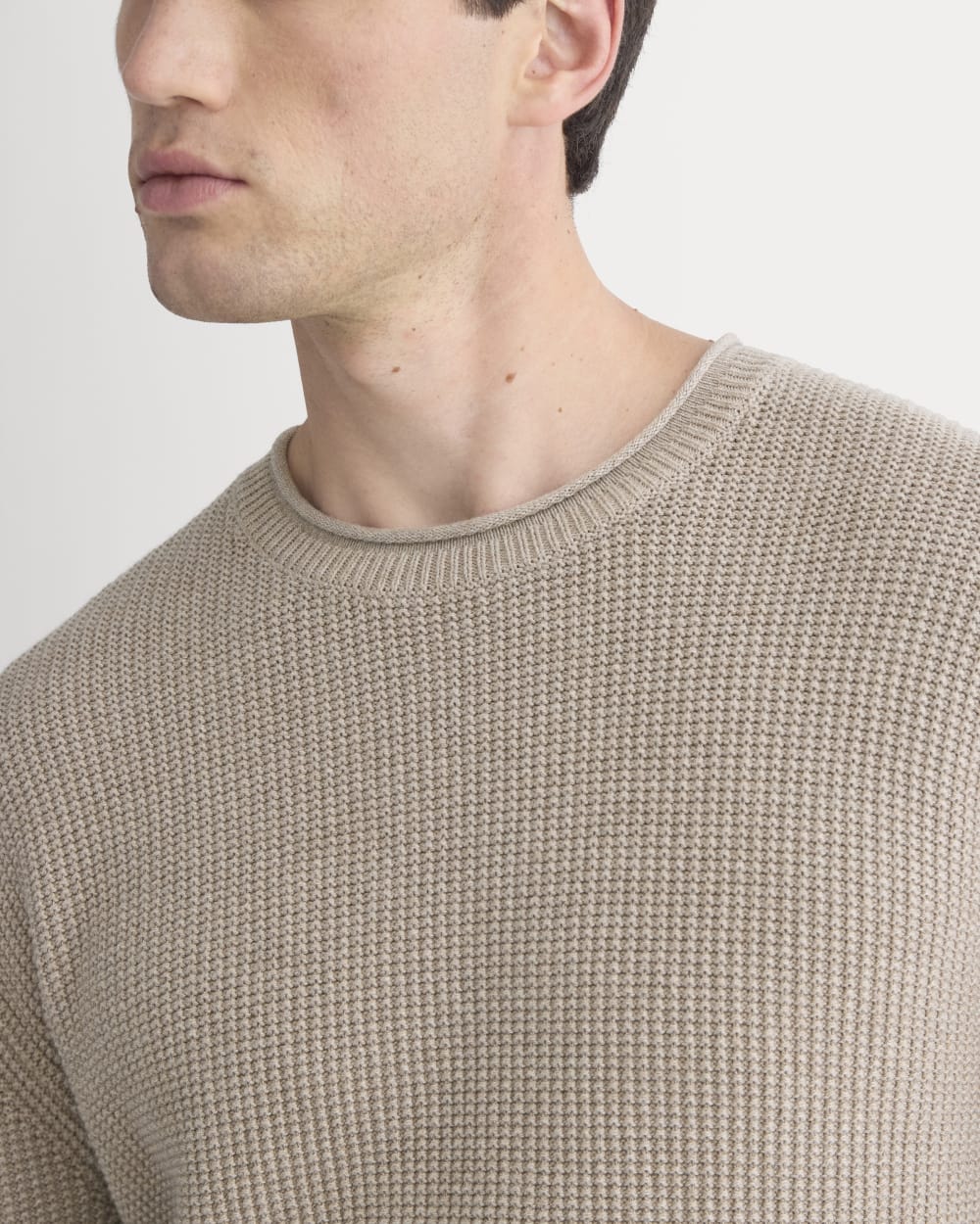 Waffle Rollneck Crew in Everyday Cotton | Heathered Oatmeal – Everlane