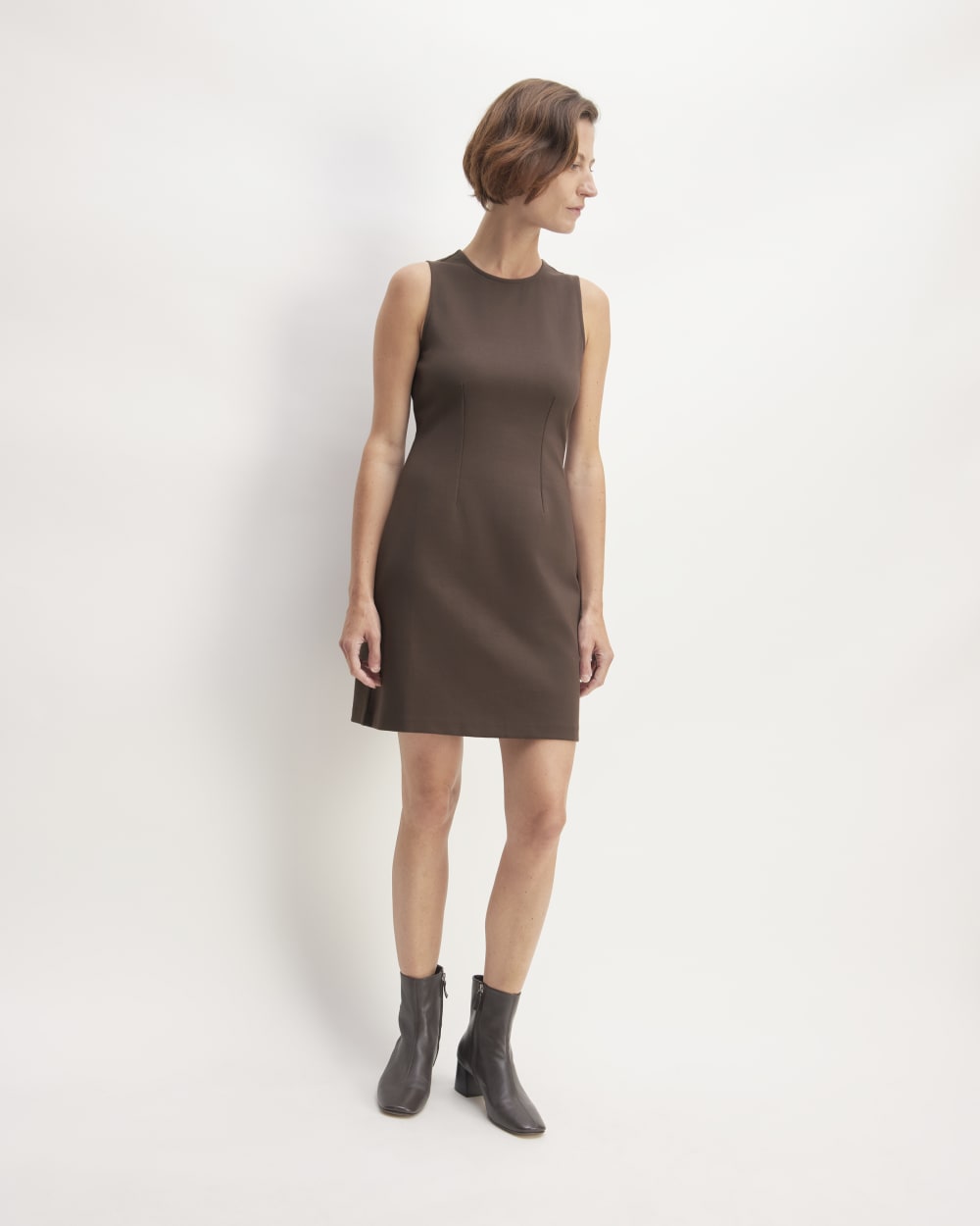 The Dream '90s Shift Dress | Earth Brown Everlane The Dream '90s Shift Dress | Earth Brown Everlane