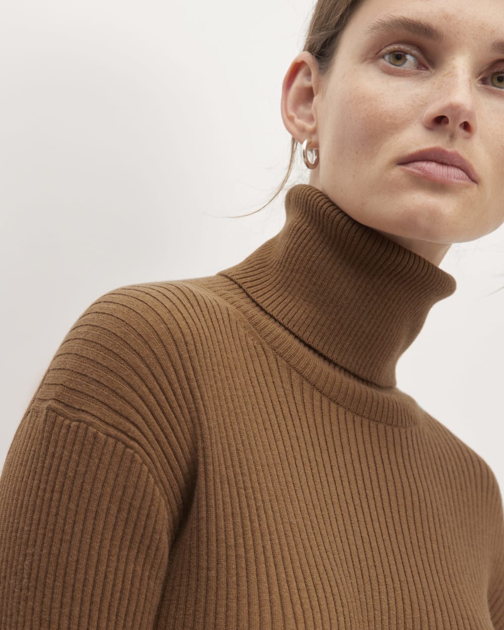 The Cotton-Merino Turtleneck Dress | Rich Camel Everlane The Cotton-Merino Turtleneck Dress | Rich Camel Everlane