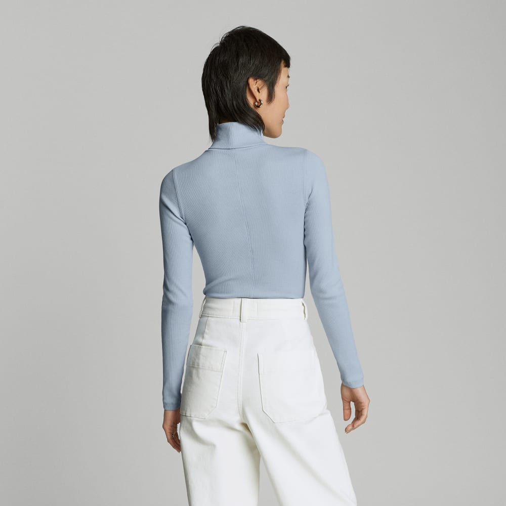 The Luxe Micro-Rib Turtleneck | Mist – Everlane
