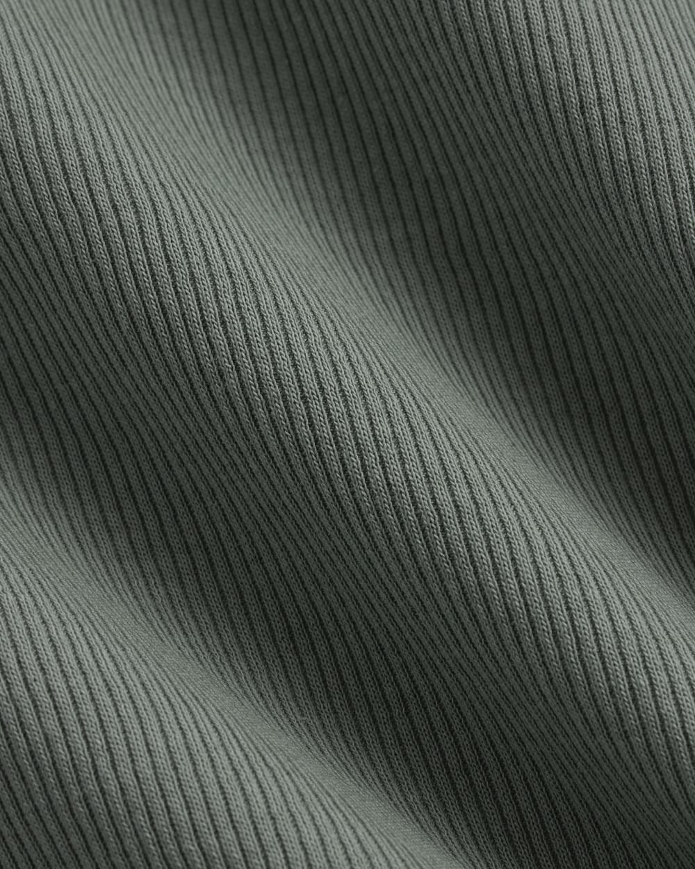 womens-supima-micro-rib-ss-crew-agave-green | alt