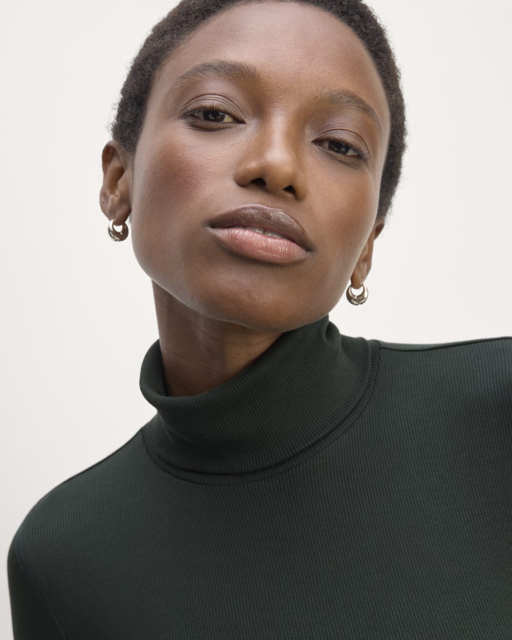 The Luxe Rib Turtleneck | Scarab – Everlane