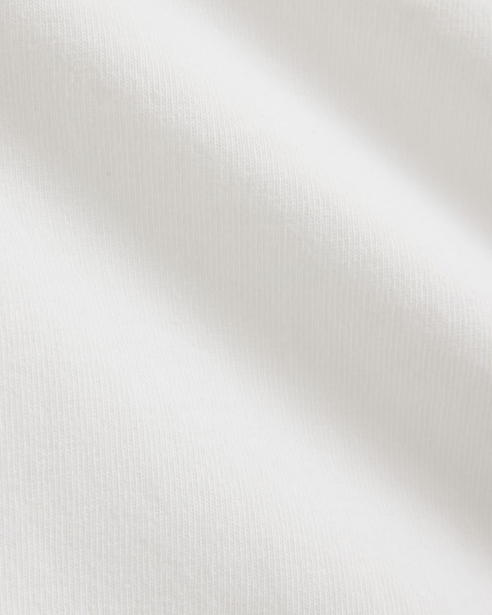 Midweight Tee | White – Everlane