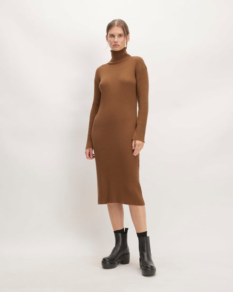 The Cotton-Merino Turtleneck Dress | Rich Camel – Everlane