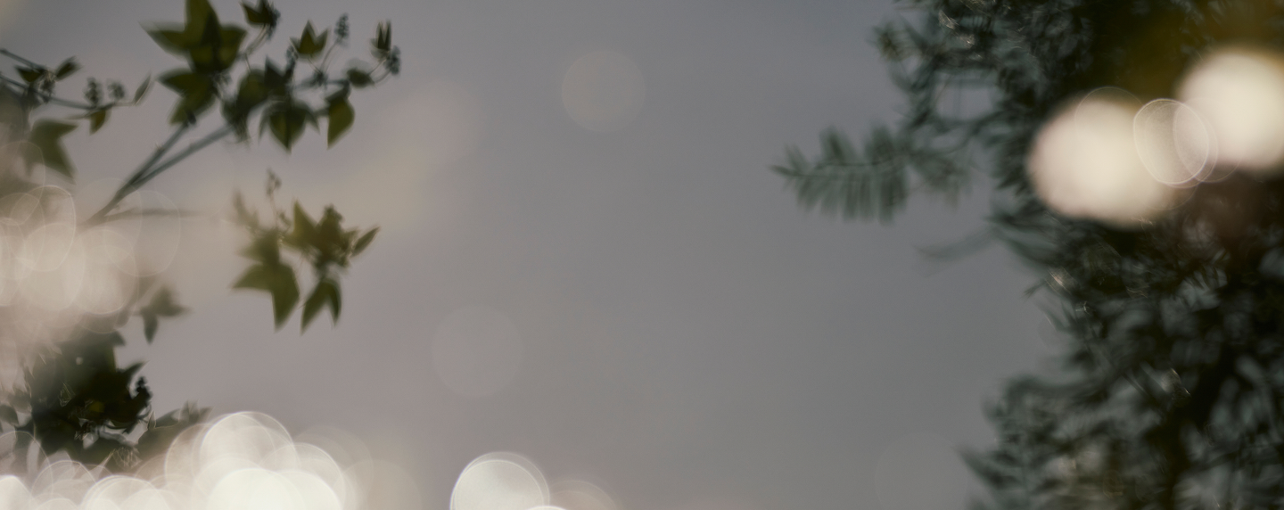 Clean Luxury. Better for You.