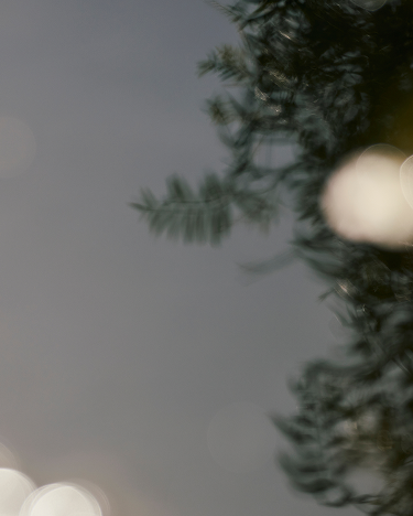 Clean Luxury. Better for You.