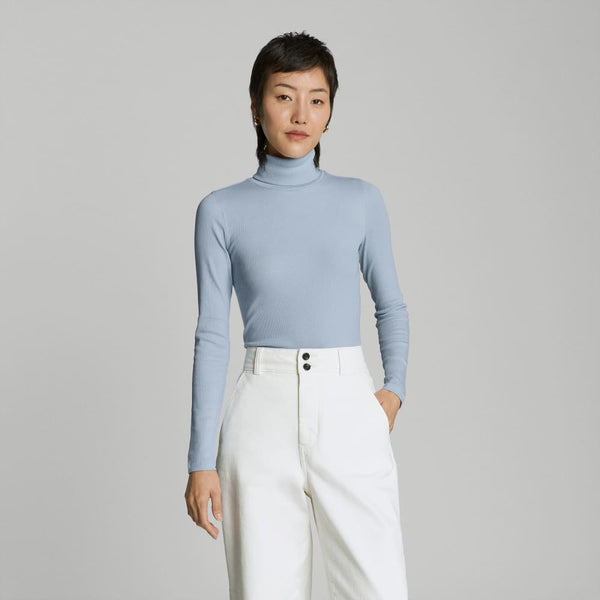 The Luxe Micro-Rib Turtleneck | Mist – Everlane