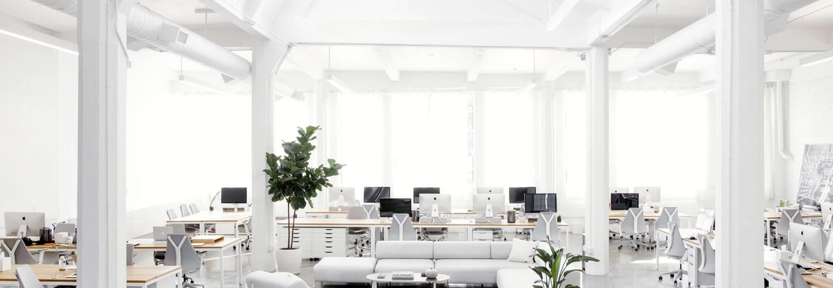 Careers – Everlane