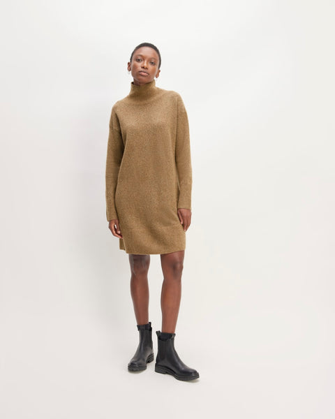 everlane sweater dress The Cozy Stretch Turtleneck Dress