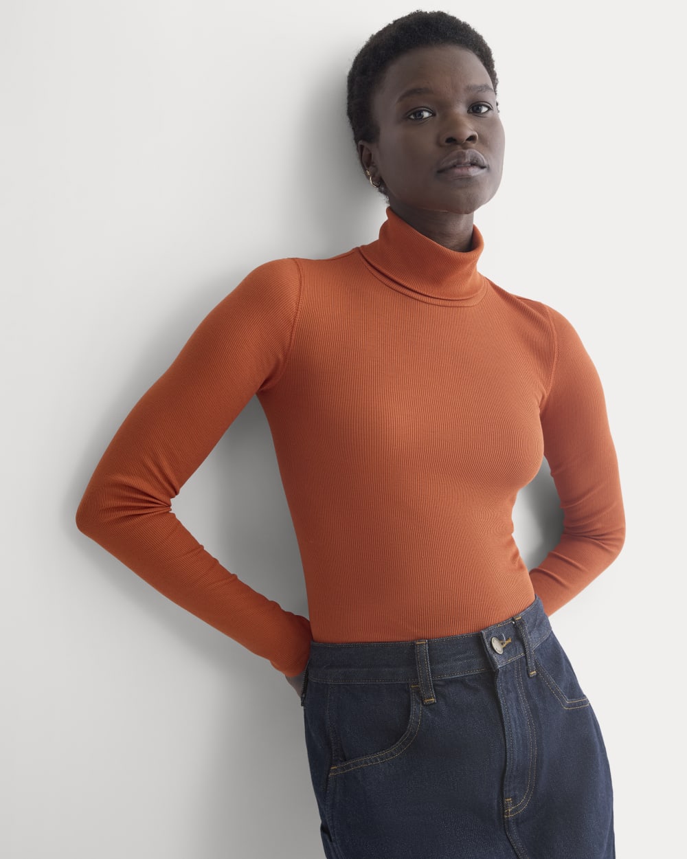 The Luxe Rib Turtleneck