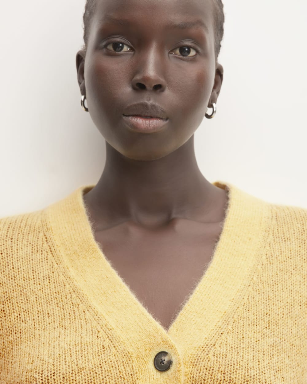 The Alpaca V-Neck Cropped Cardigan | Raffia – Everlane