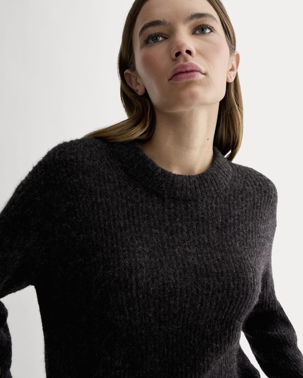 The Cocoon Crew in Alpaca | Heathered Black – Everlane