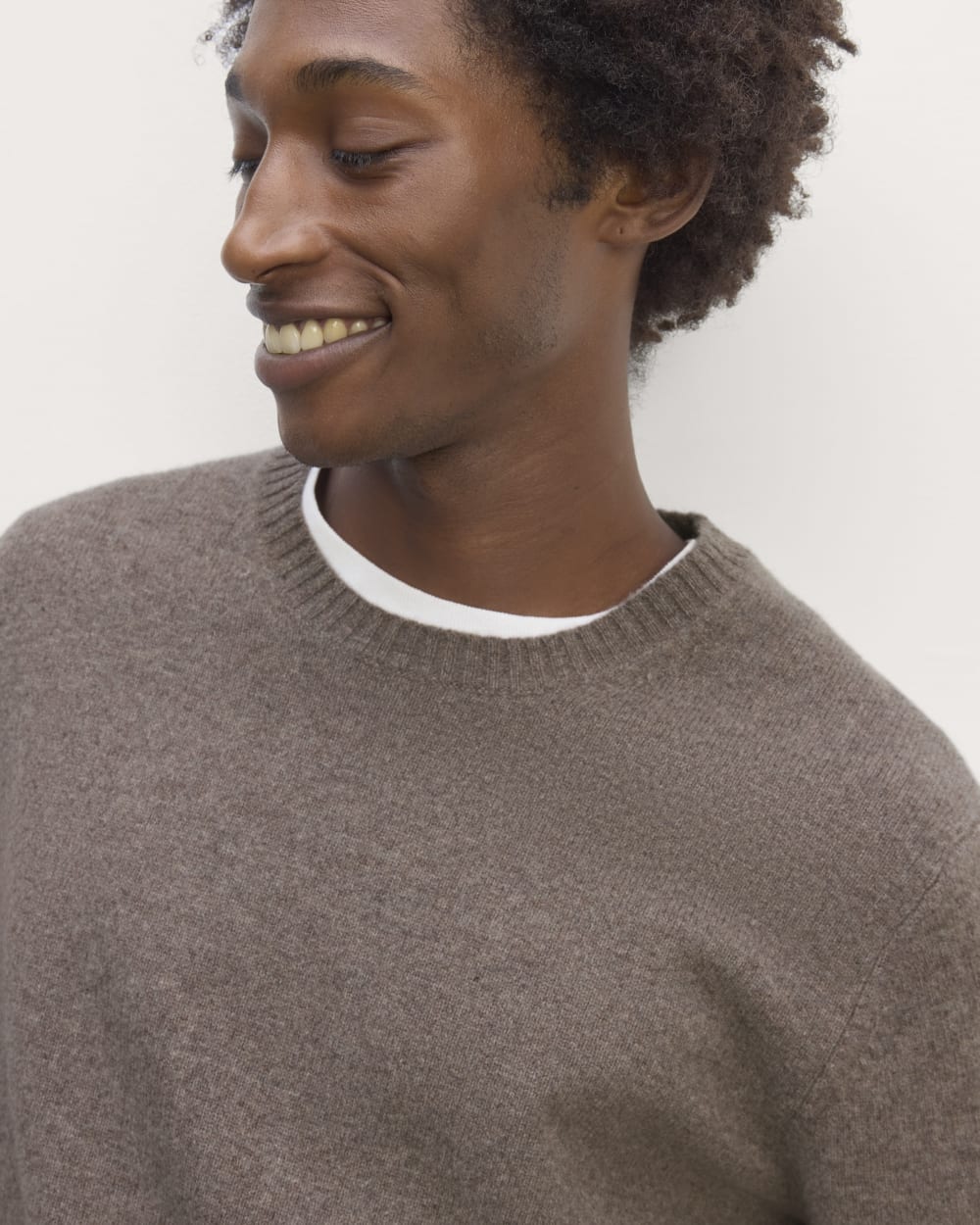The Premium Merino Crew Neck Sweater | Taupe Melange – Everlane