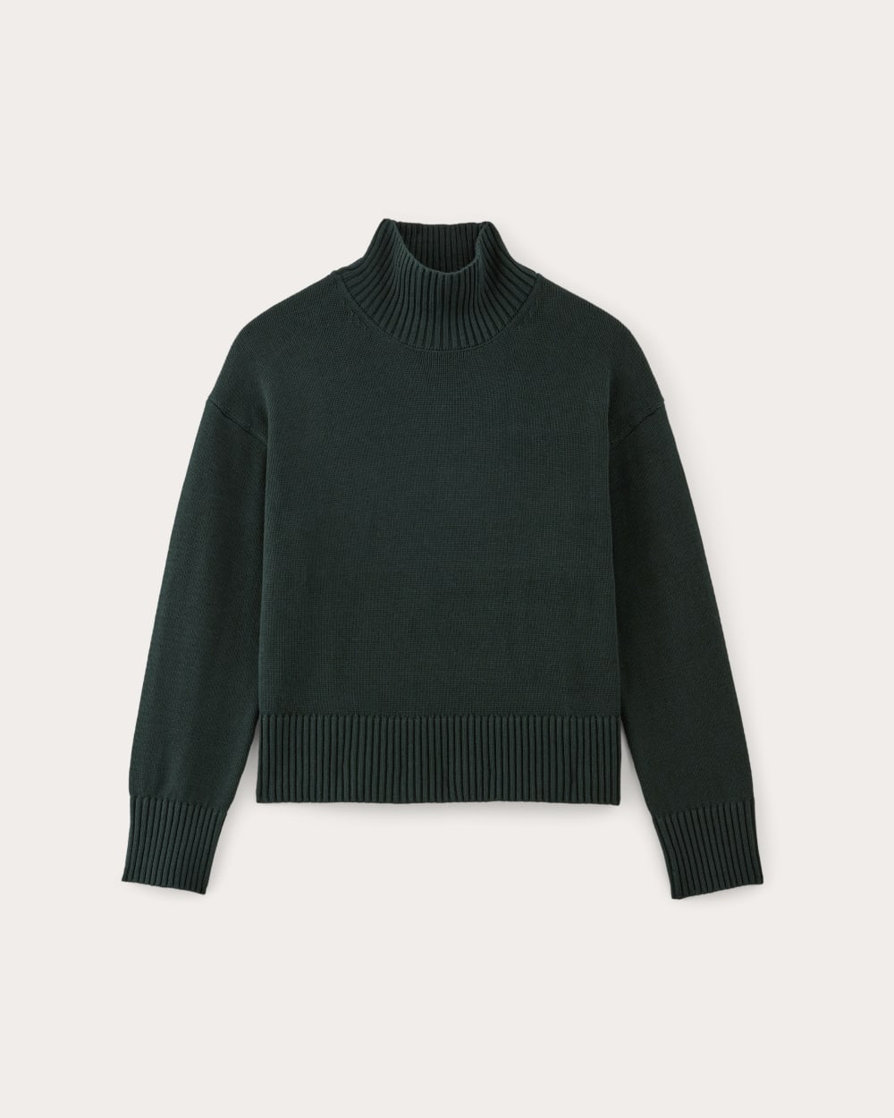 womens-cotton-boxy-turtleneck-scarab | alt