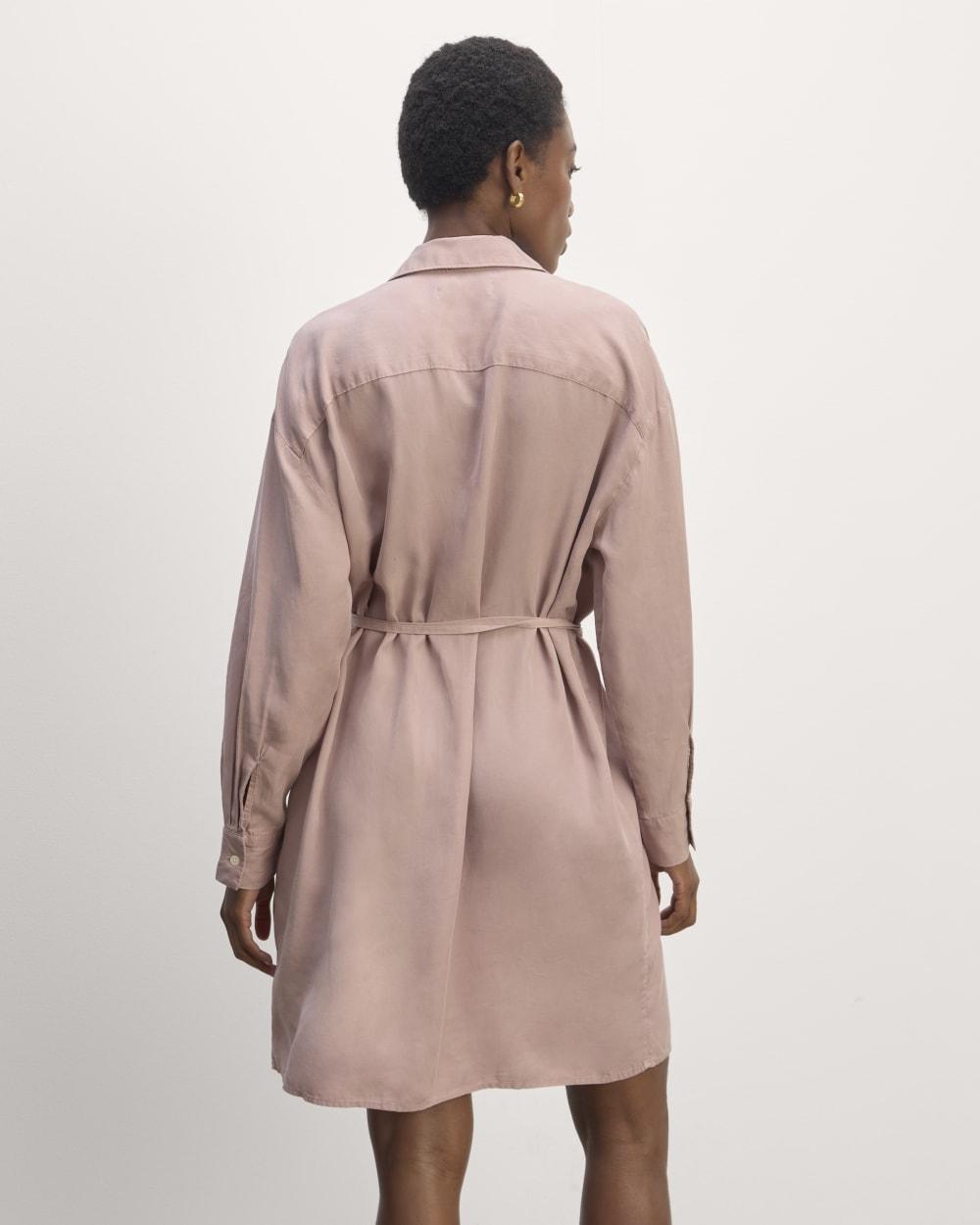 The Must-Have Shirtdress in Butterlite | Dusty Rose – Everlane