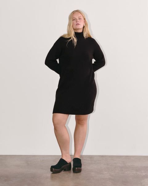 The Sweater Dress in Plush Cotton Black – Everlane