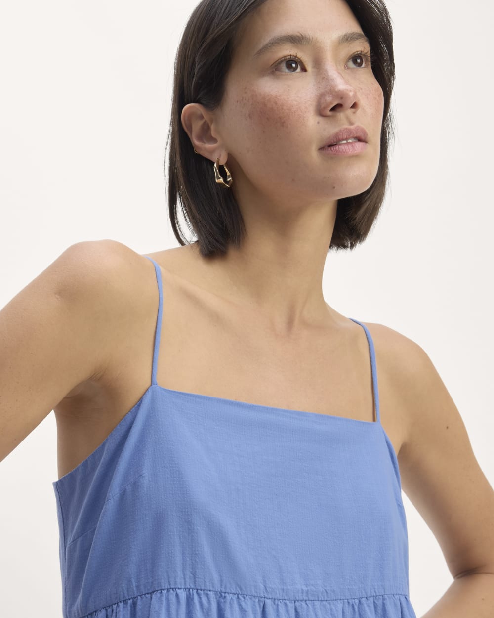 everlane blue dress The Flutter-Sleeve Dress in Stretch Linen