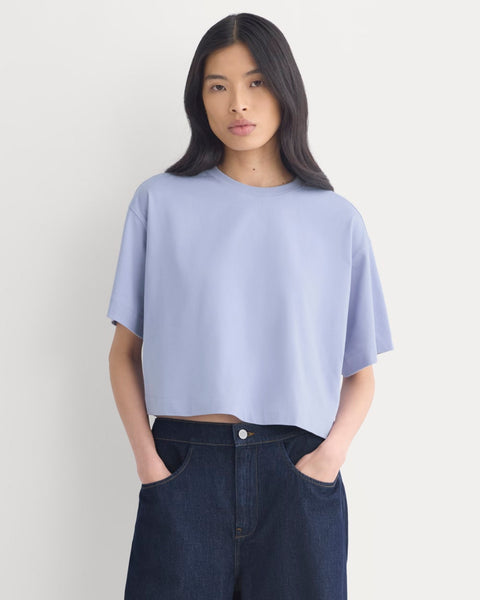 Forever Jersey Cropped Tee | Aleutian – Everlane