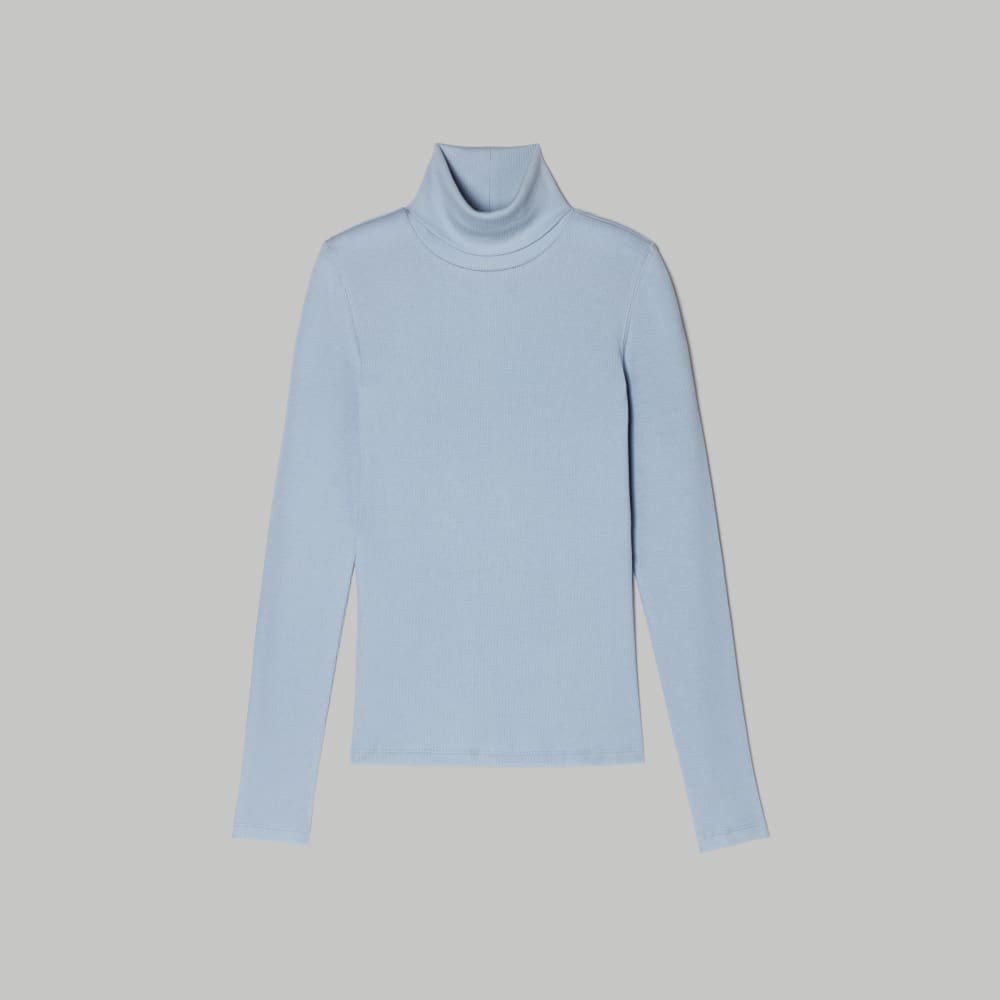The Luxe Micro-Rib Turtleneck | Mist – Everlane