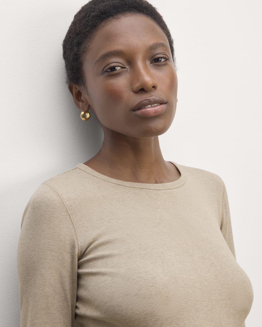 The Luxe Rib Long-Sleeve Crew | Heathered Tan – Everlane