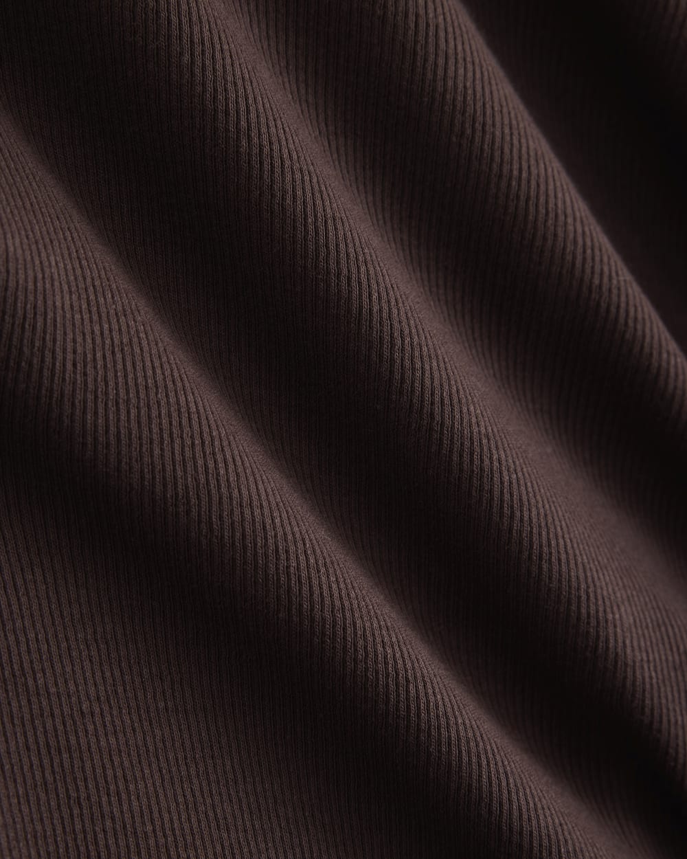 womens-supima-micro-rib-ss-crew-coffee-bien
