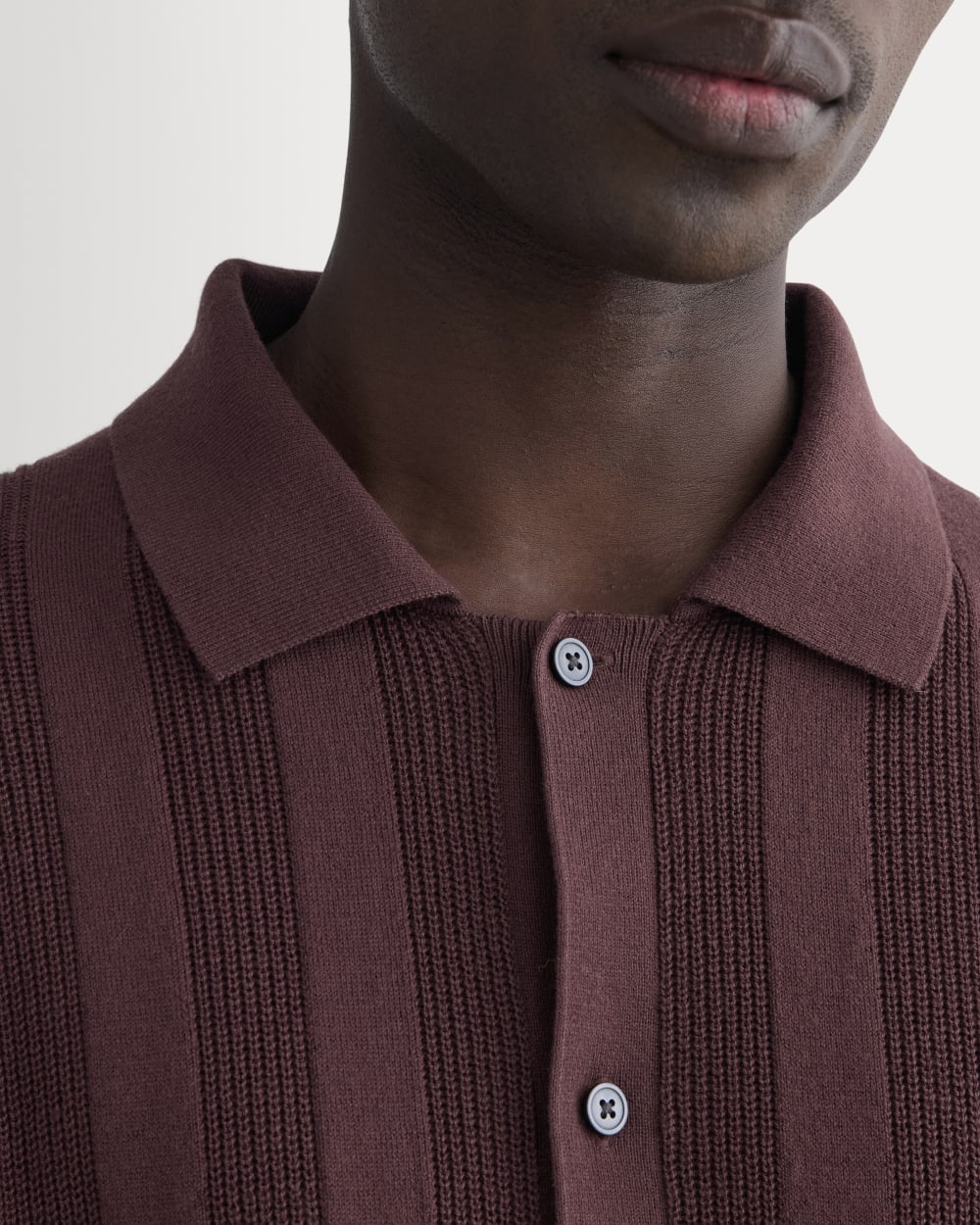 The No-Sweat Ribbed Polo | Dark Mahogany – Everlane