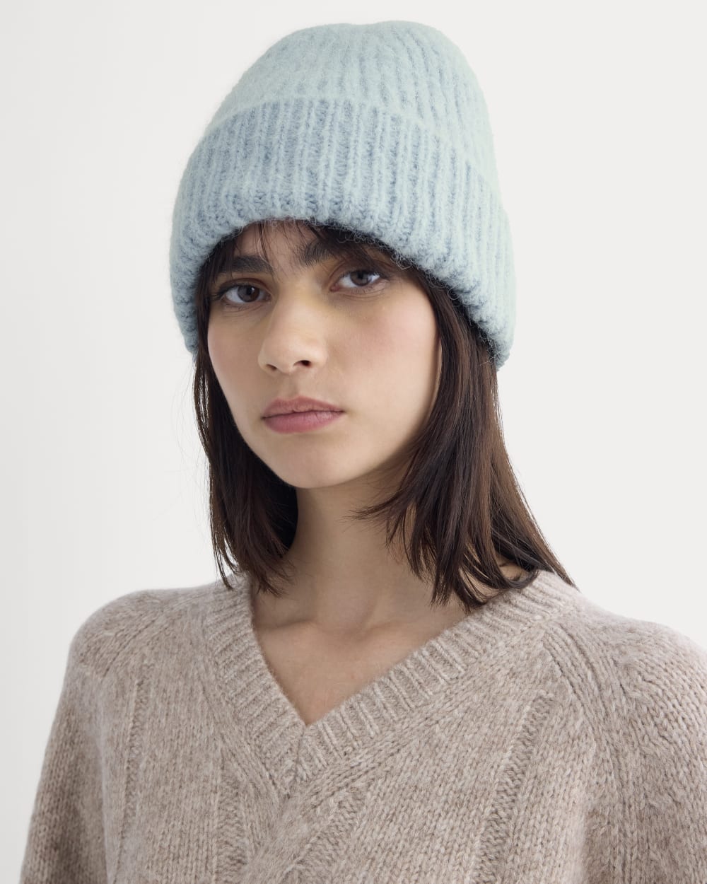 Plush Alpaca Beanie | Skyway – Everlane