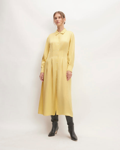 The Hammered Satin Shirt Dress | Raffia – Everlane